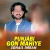 About Punjabi Gon Mahiye Song
