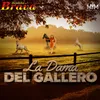 About La Dama Del Gallero Song