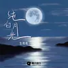 About 纯白月光 Song