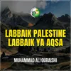 About Labbaik Palestine Labbaik Ya Aqsa Song