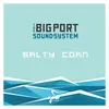 About Salty Corn Song