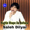 About Raghle Shape Da Beltana Song
