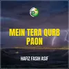 About Mein Tera Qurb Paon Song