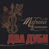 About Два дуби Song