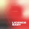 About Licence Baby Song