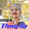 About O Paharia Mon Song