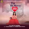 Tu Hi Mera Dil