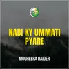 About Nabi Ky Ummati Pyare Song