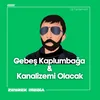 About Gebeş Kaplumbağa & Kanalizemi Olacak Song