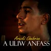 About A Uliw Anfass Song