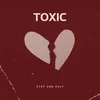 About Toxic Song