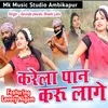 About Karela Pan Karu Lage Song