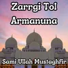 About Zarrgi Tol Armanuna Song