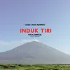 About Induk Tiri Song