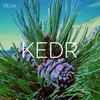 KEDR