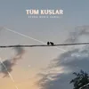 About Tüm Kuşlar Song