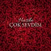 About Çok Sevdim Song