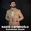 About Canımsan Anam Song