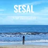 About SESAL Song