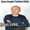 About Yar Güzel Güzel Song