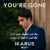 About You're Gone Song