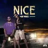 About Nice Song