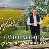 About Ține-mi Doamne oile Song