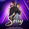 About Sorry Song