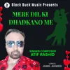 About Mere Dil Ki Dhadkano Me Song