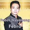 Pedot Nyambung