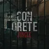About Concrete Jungle Song
