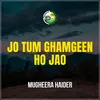 About Jo Tum Ghamgeen Ho Jao Song