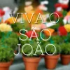 Viva o São João