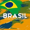 About Brasil Song