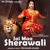 About Jai Ma Sherawali Song