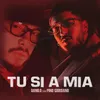 About Tu Si A Mia Song