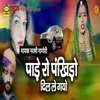 About Pade Ro Pankhido Dil Le Gayo Song