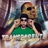 About TRANSPARENTE E SINCERO Song