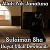 About Allah Pak Janatuna Song