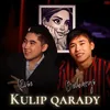 About Kulip qarady Song