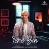 About Tere Bin Song