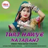 About Turi Hawye Na Tabahi Song