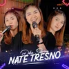 About Nate Tresno Song