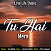 About Tu Hai Mera Song