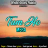 About Tum Ho Mera Song