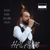 About Rekor Kıran Sallama Halay Song