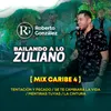 About Mix Caribe 4 : Tentación y Pecado / Se Te Cambiará La Vida / Mentiras Tuyas / La Cintura Song