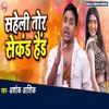About Saheli Tor Second Hand Song