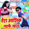 About Tera Aashiq Tadfe Jaan Song