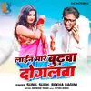 About Line Maare Budhwa Dogalwa Song